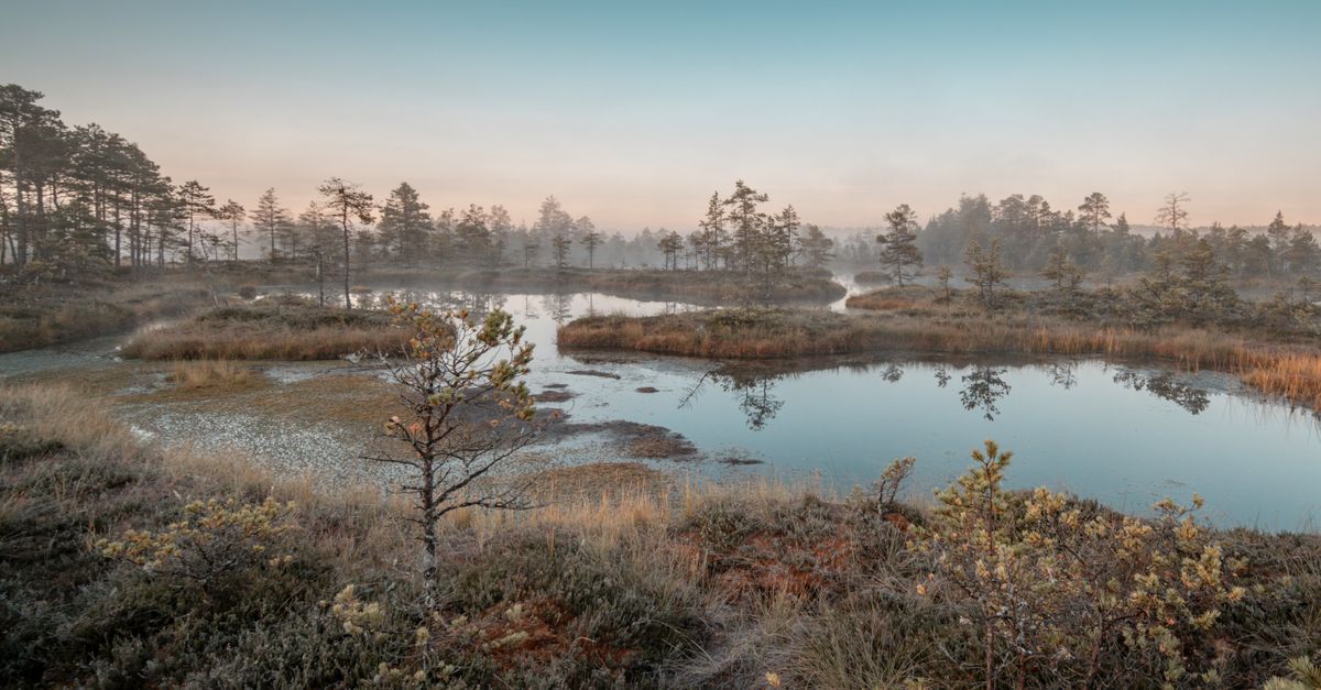 Photo of Estonia