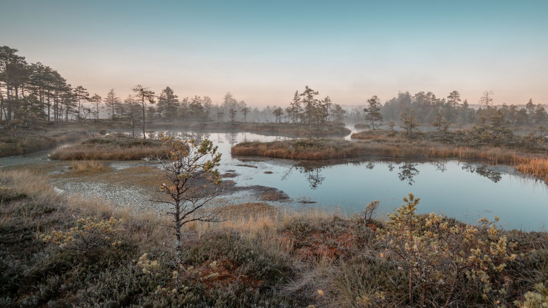 Clear forest-rimmed Estonian lake with a wooden jetty on a calm summer morning