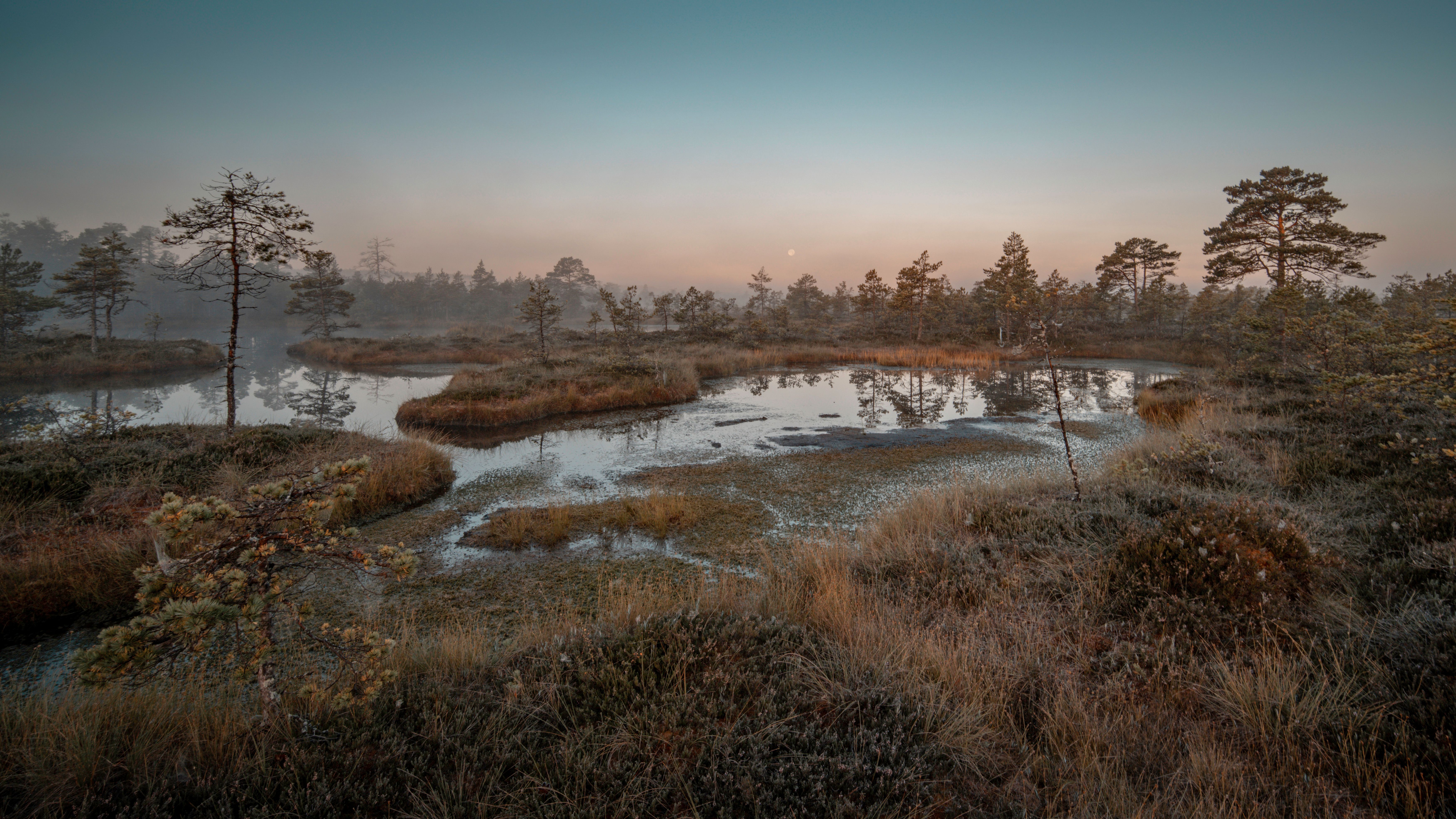 Tranquil canal winding through green reed beds under a cloudy sky in Weerribben-Wieden National Park