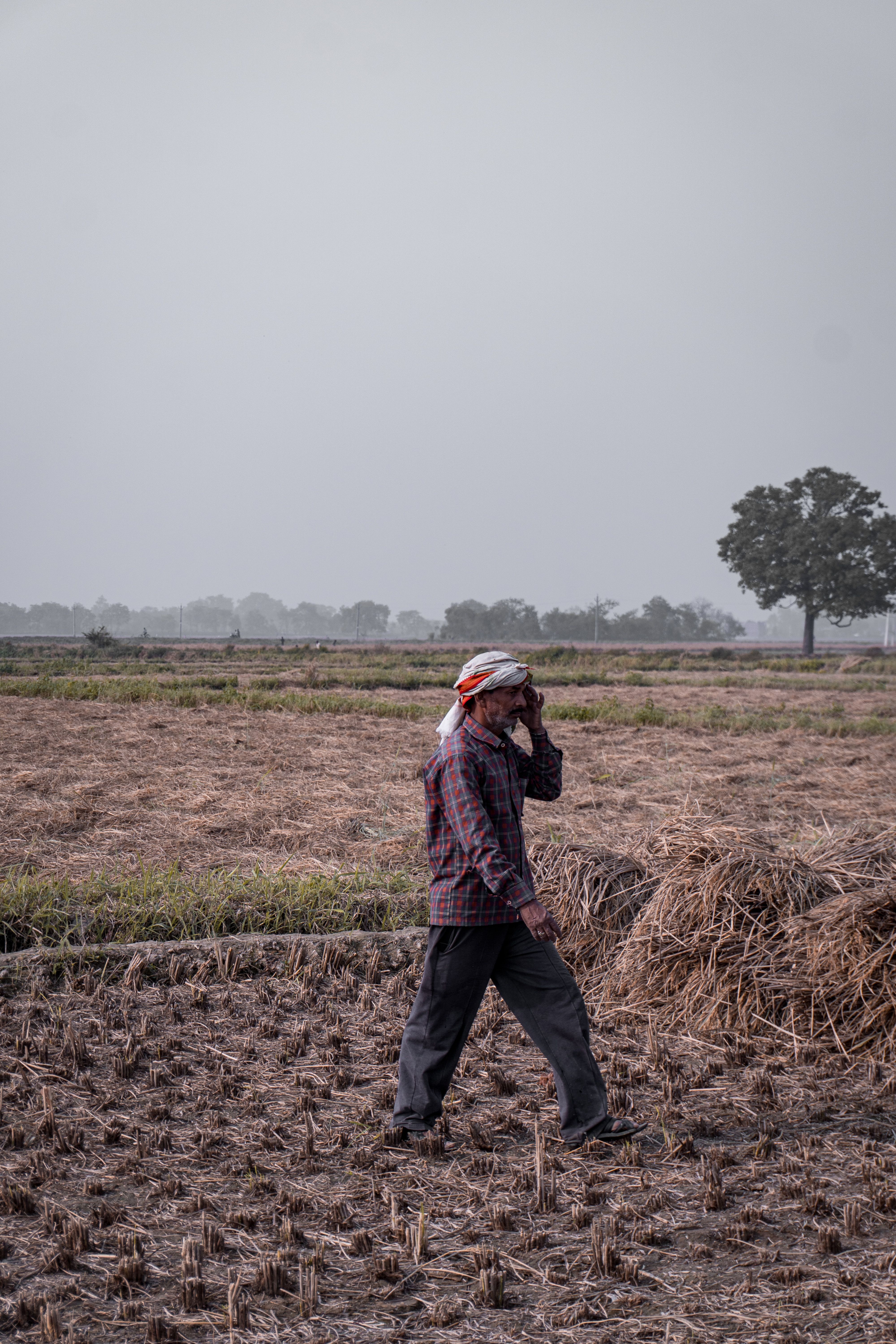 Indian farmer walking through rural field