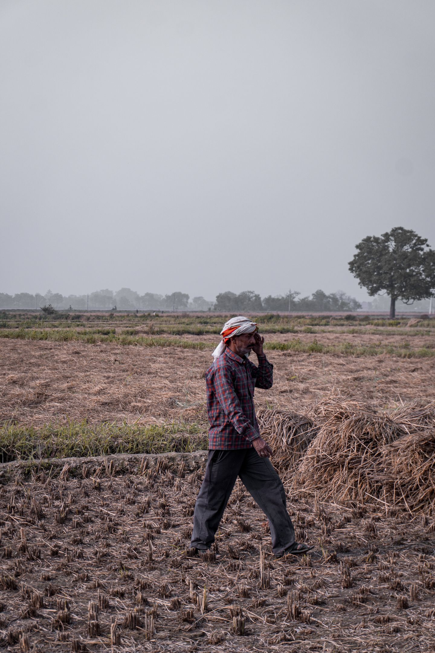Indian farmer walking through rural field