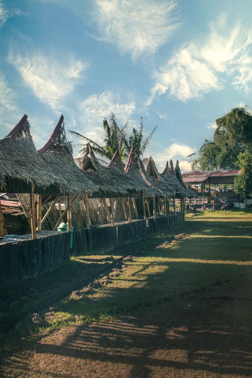 Free Explore the rustic beauty of traditional Indonesian thatched roof huts set amidst lush greenery. Stock Photo
