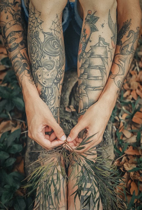 Free Person Holding Green-Leafed Plant Between Feet Stock Photo