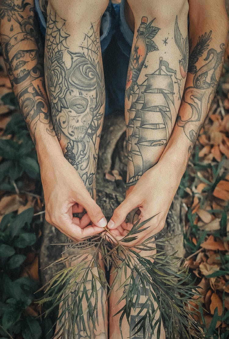 Person Holding Green-Leafed Plant Between Feet