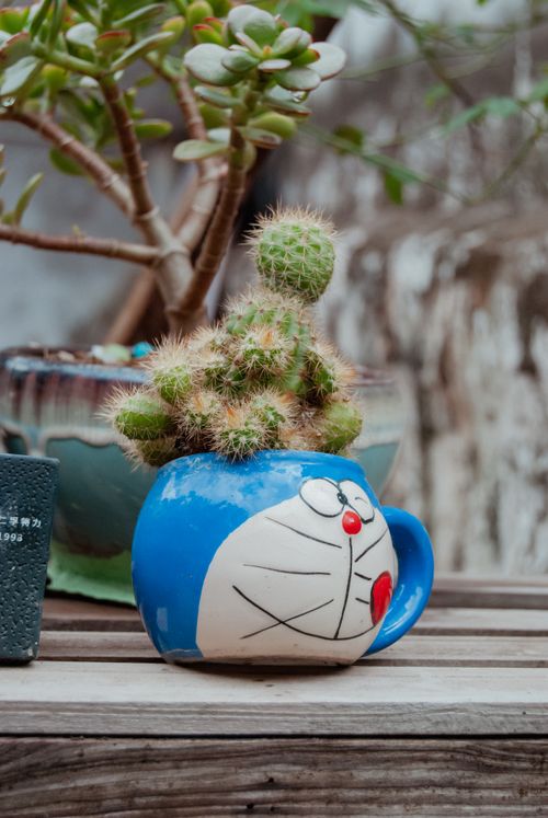 Free A cactus planted in a colorful cartoon character pot, placed on a wooden table outdoors. Stock Photo