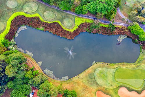 Top View Photo of Pond