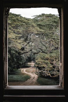 Serene view of a winding forest path framed by an ancient window in Cambodia.