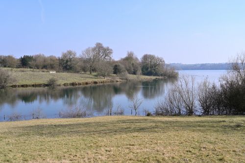 Free Serene landscape of a lake surrounded by trees, capturing the peacefulness of nature in springtime. Stock Photo