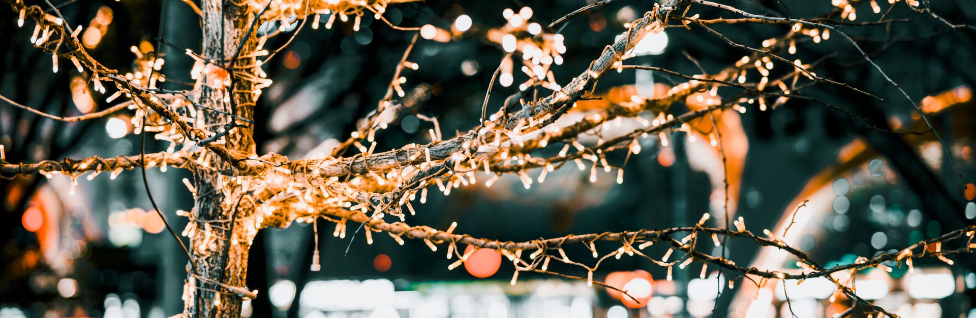 Illuminated tree decorated with string lights in a vibrant city night setting.