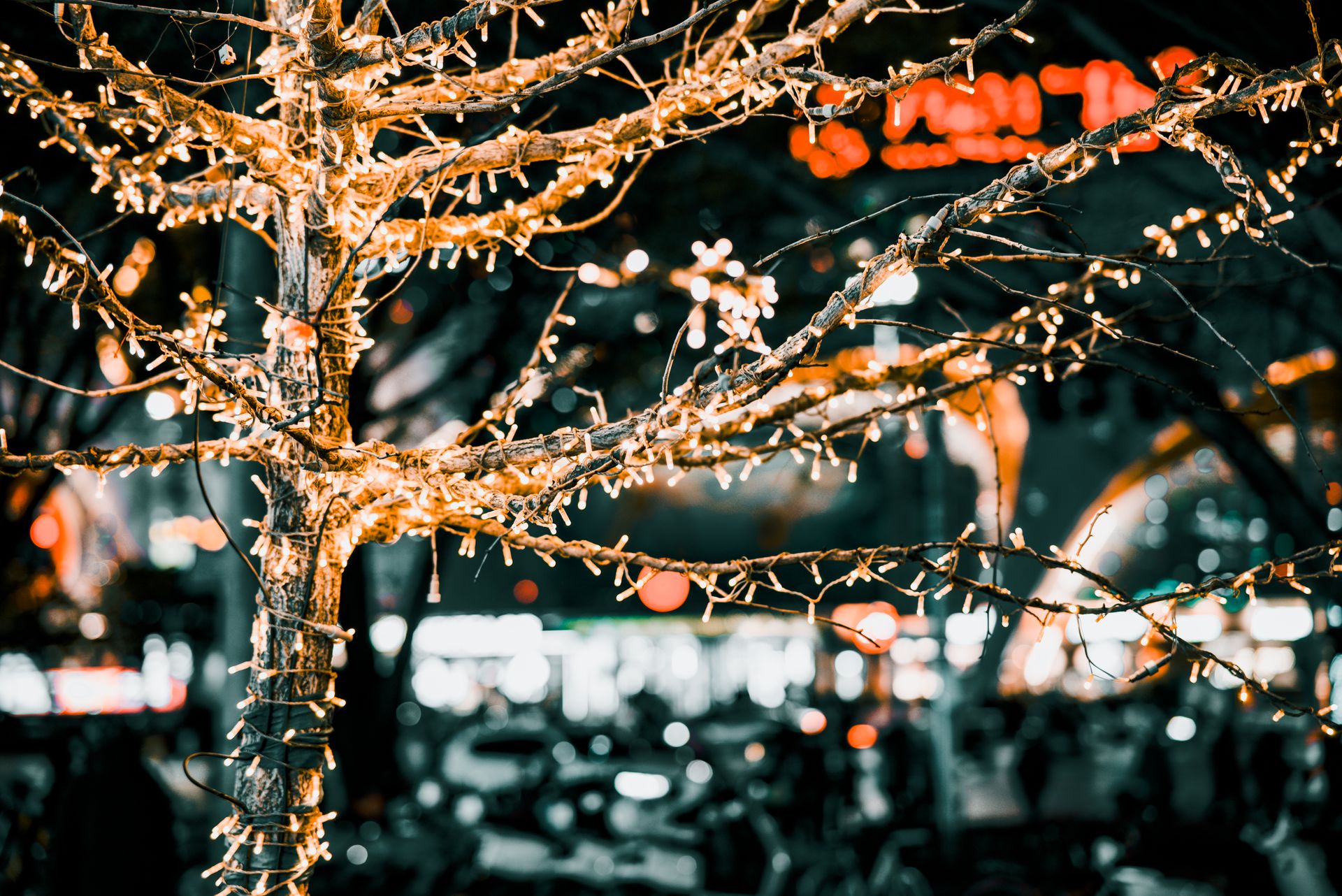 Illuminated tree decorated with string lights in a vibrant city night setting.