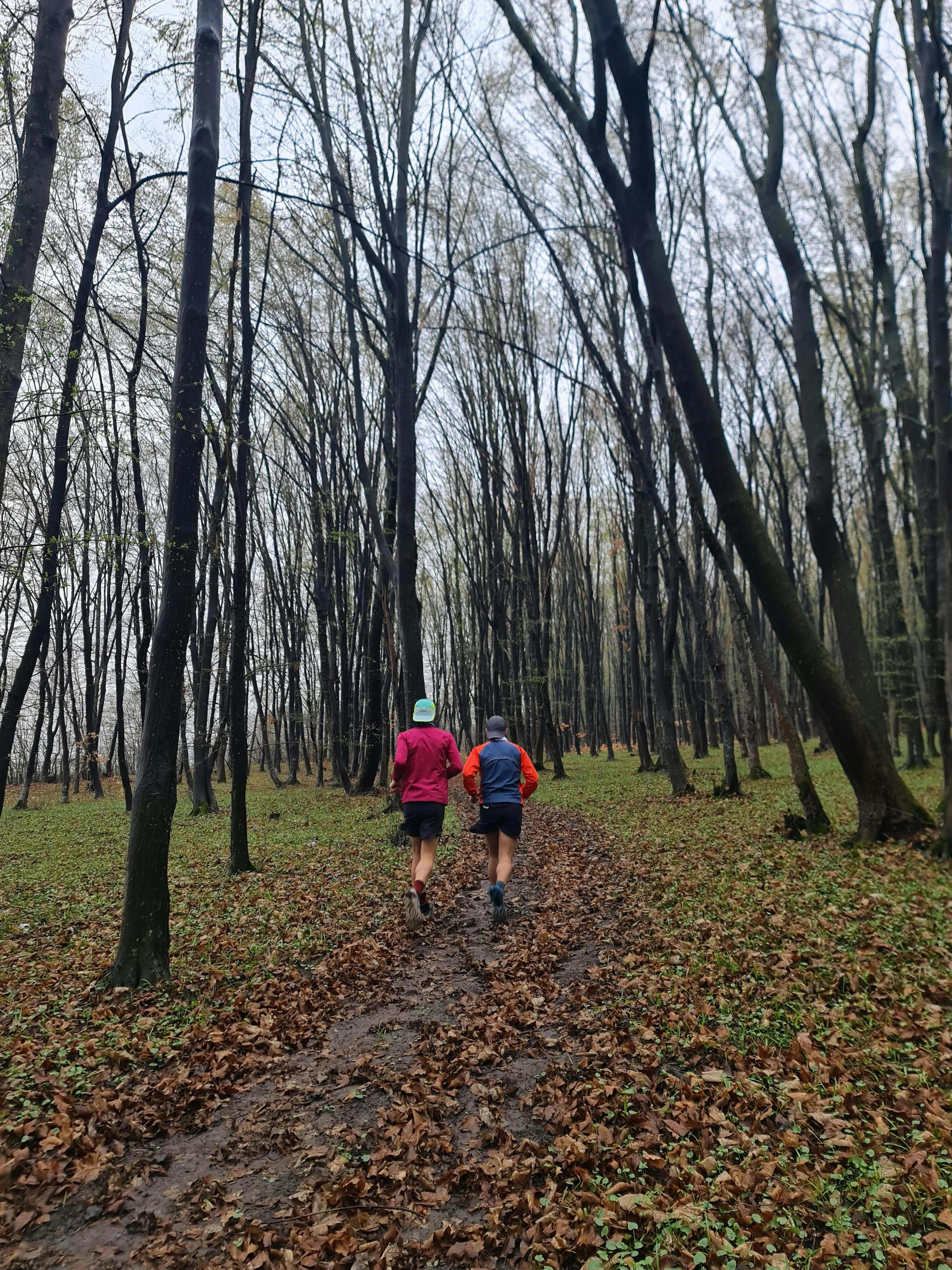 An experienced trail runner navigating a challenging mountain trail, illustrating advanced techniques