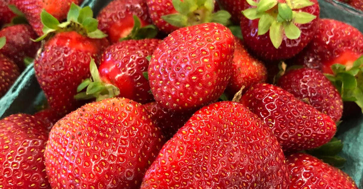 綠色生活新時代!彭部長分享低碳飲食的未來趨勢