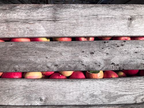 Free A rustic wooden crate filled with vibrant red apples, perfect for autumn harvest scenes. Stock Photo