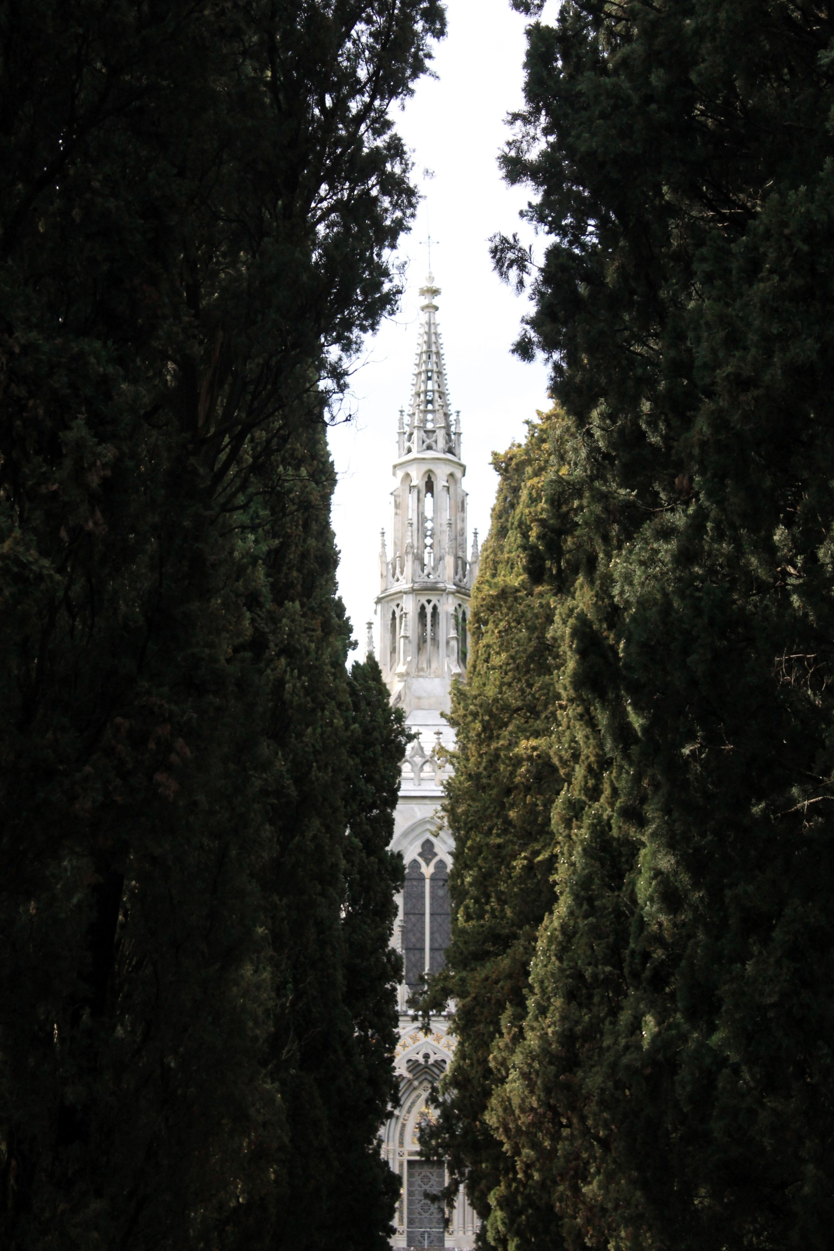 Cathedral Of Trees Photos, Download The BEST Free Cathedral Of Trees ...