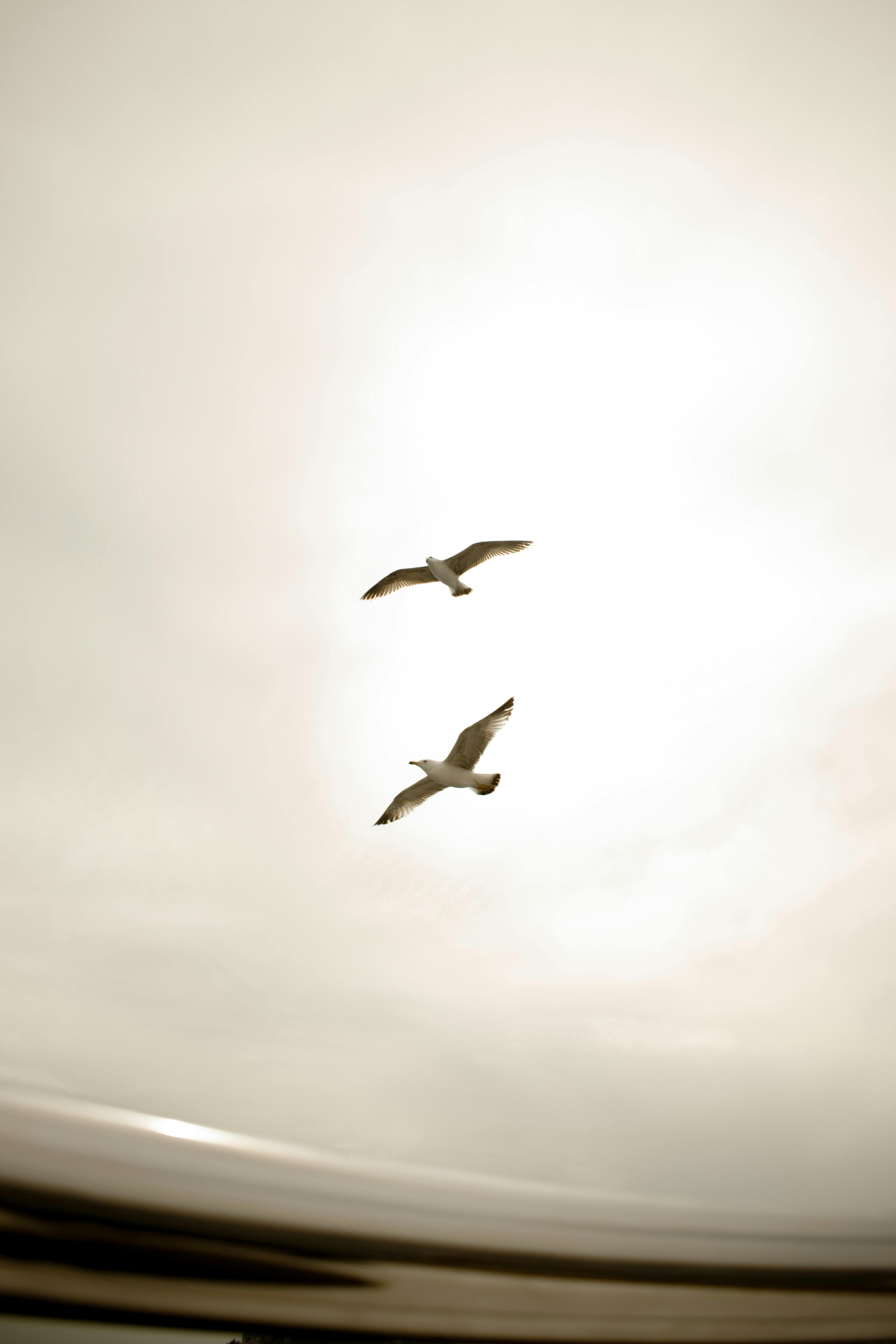 大樂透2連槓！下期飆1.3億🎉💰