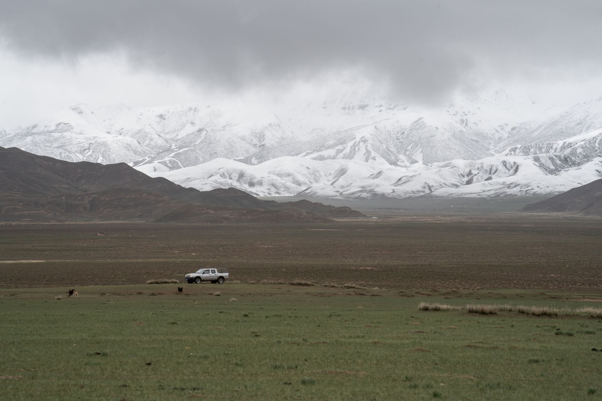 Expansive Qinghai landscape featuring snow-covered mountains and a solitary vehicle on a vast plain.