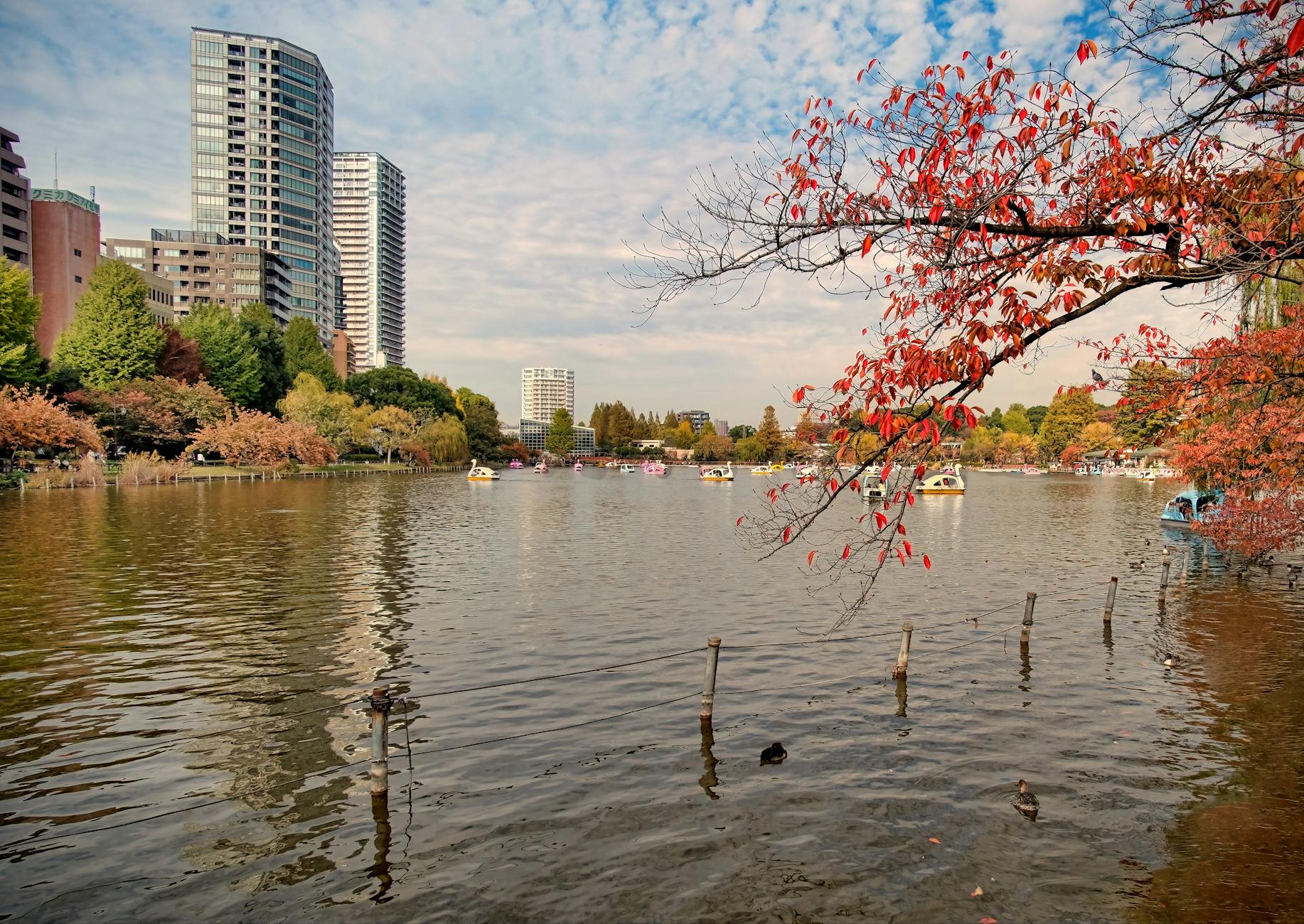 우에노 공원 갤러리 이미지
