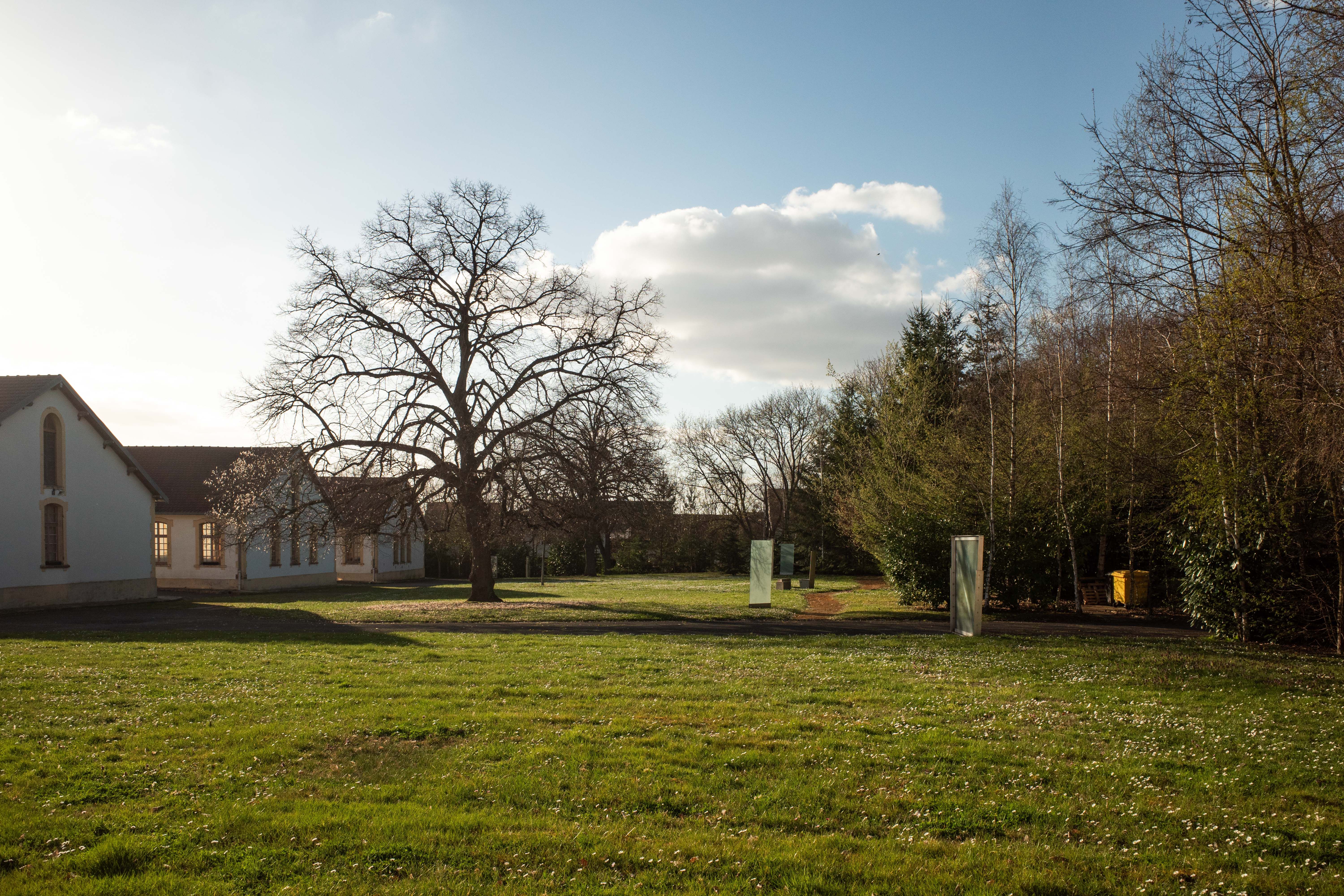 Solarfelder auf grüner Wiese