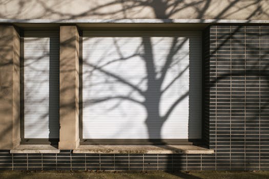 Artistic shadow of a tree on a closed window shutter in Compiègne, France.