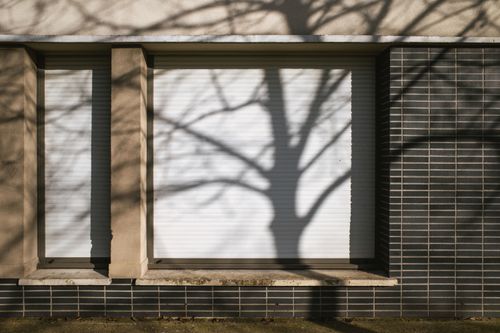 Free Artistic shadow of a tree on a closed window shutter in Compiègne, France. Stock Photo