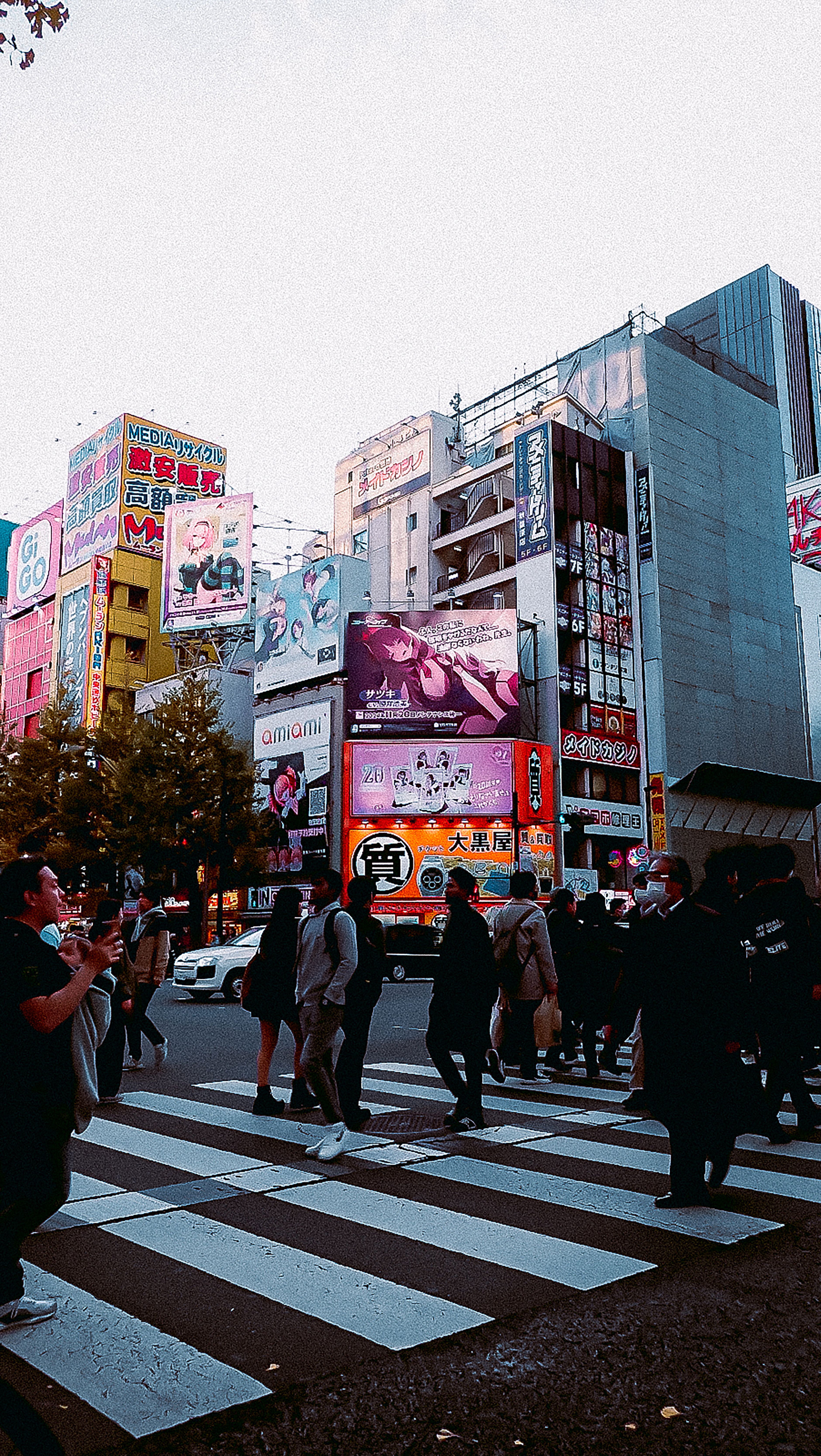 Photo by Evelyn Poratti on pexels