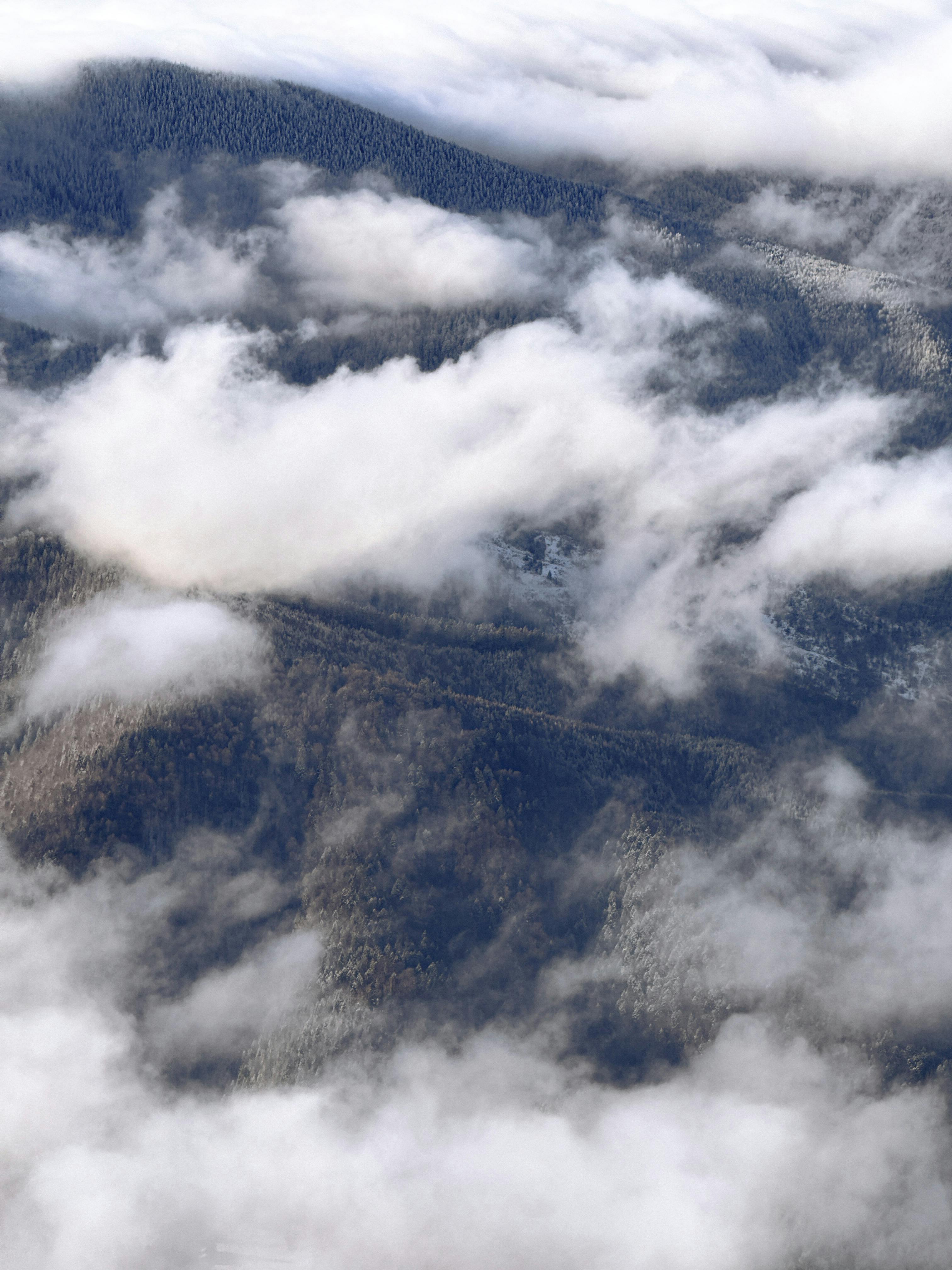 Aerial view of a mist-covered dense forest, capturing the untouched beauty of nature with a mystical atmosphere.