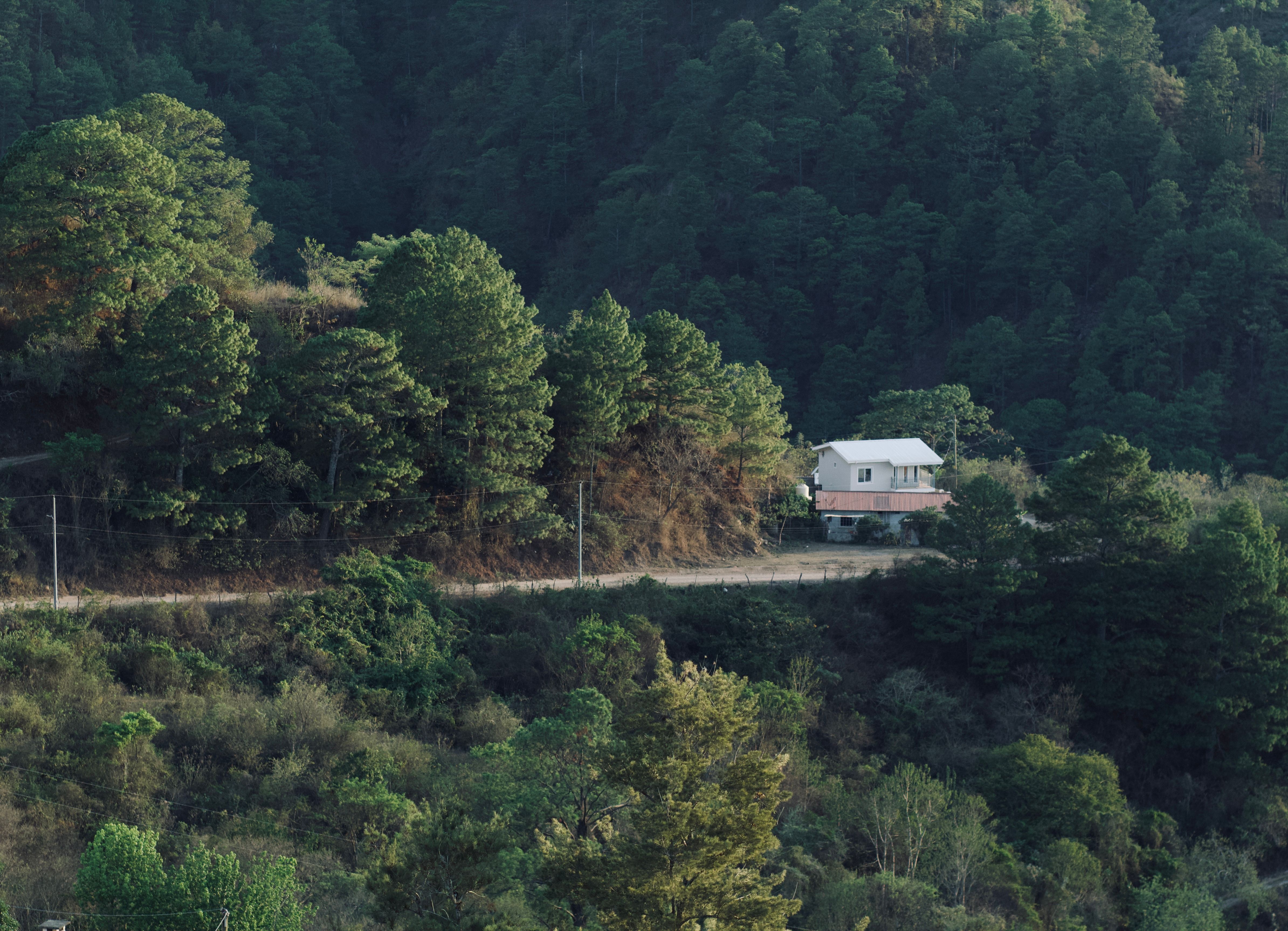 Pine slopes and small farms in Cabañas, La Paz, Honduras, near the Salvadoran frontier