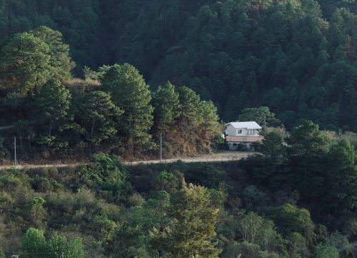 Free A lone house on a hill surrounded by dense, lush green forest landscape. Stock Photo
