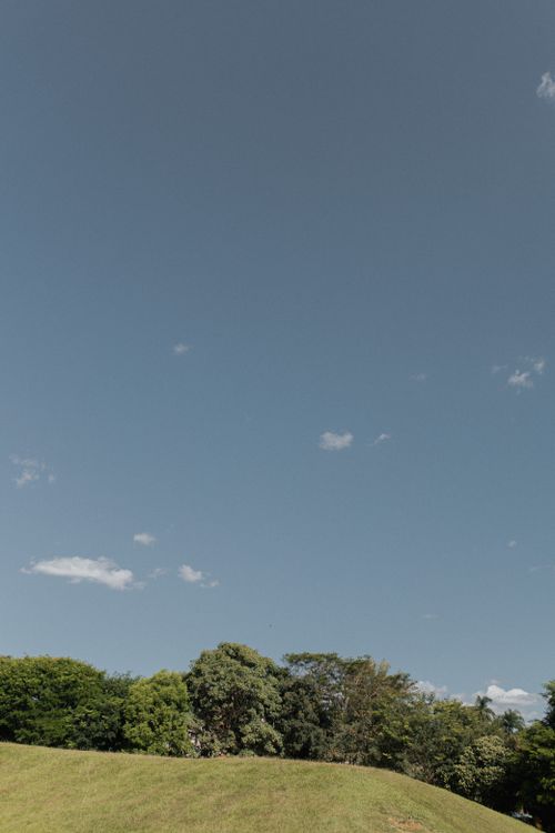 Free Tranquil open field with lush green trees under a clear blue sky, perfect for nature themes. Stock Photo