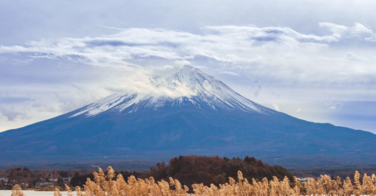 Scenic view of Mount Fuji during winter with grasses in the foreground and a cloudy sky. Scenic view of Mount Fuji during winter with grasses in the foreground and a cloudy sky.