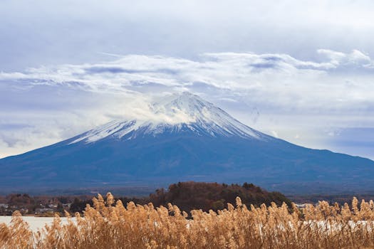 Scenic view of Mount Fuji during winter with grasses in the foreground and a cloudy sky.