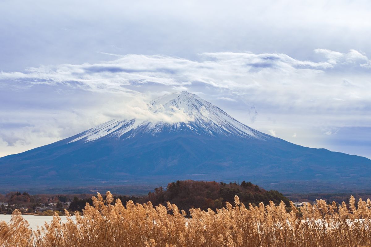 Scenic view of Mount Fuji during winter with grasses in the foreground