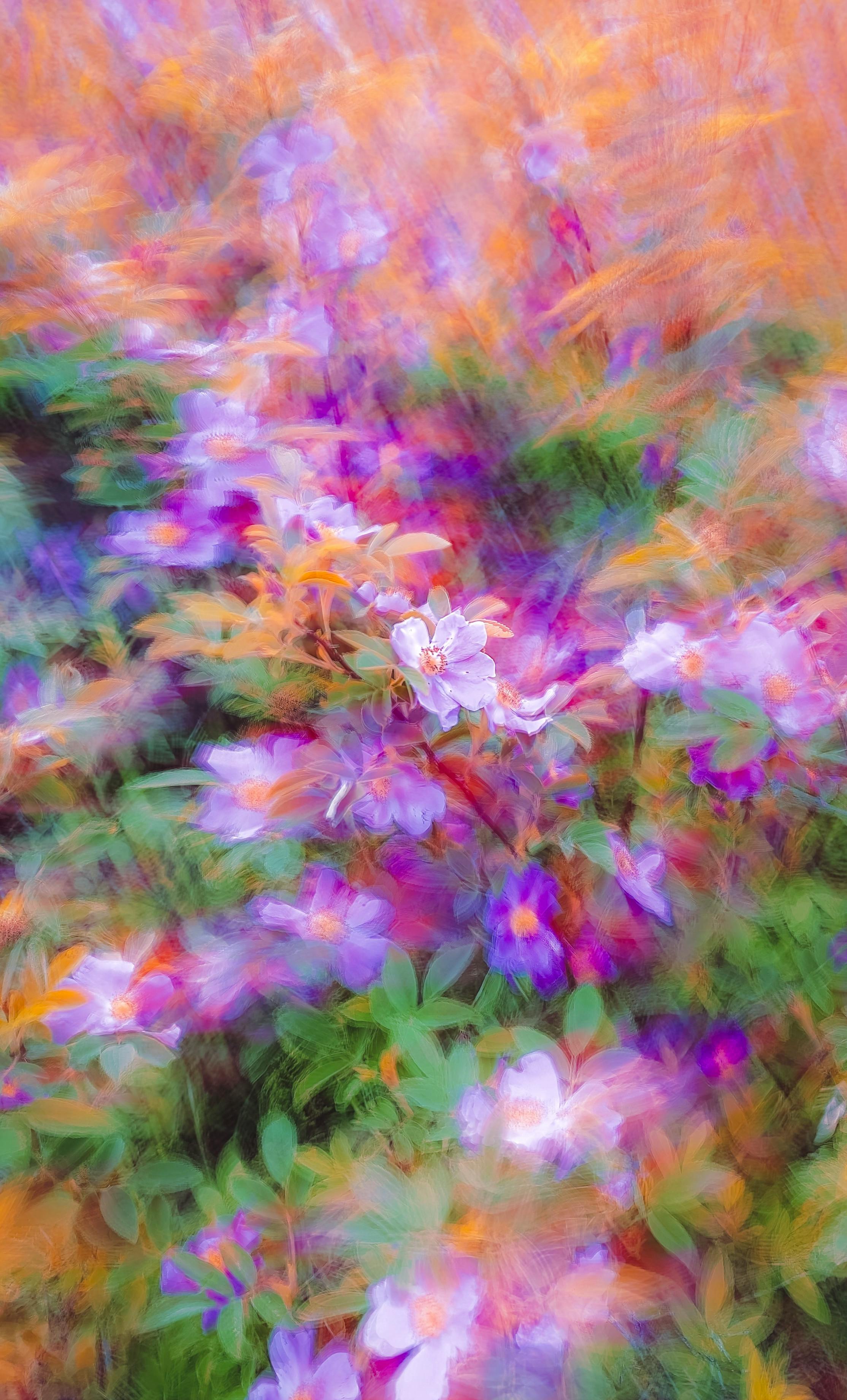 A colorful abstract blur of flowers with a vibrant and lively visual appeal.