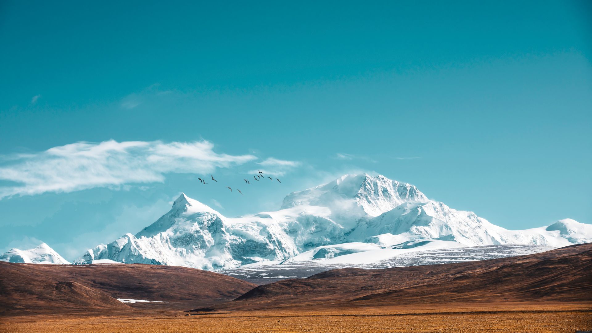Montañas del Himalaya y picos nevados a plena luz del día