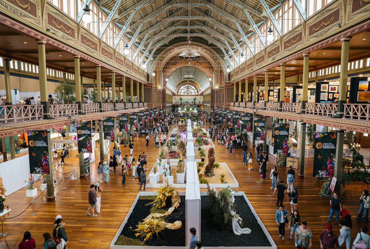 vibrant event at carlton s royal exhibition building showcasing divers