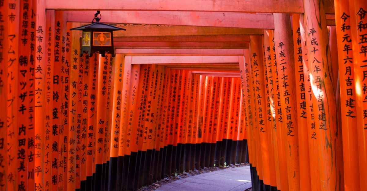 🌟 日本旅游新风潮,看看谁在积极备战!🏖️ 🌟 日本旅游新风潮,看看谁在积极备战!🏖️