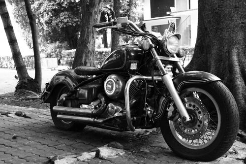 Free Classic black and white photo of a vintage motorcycle parked under a tree on a sunny day. Stock Photo