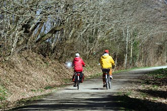 Bisiklete Binmenin Zihinsel Sağlığa Faydaları