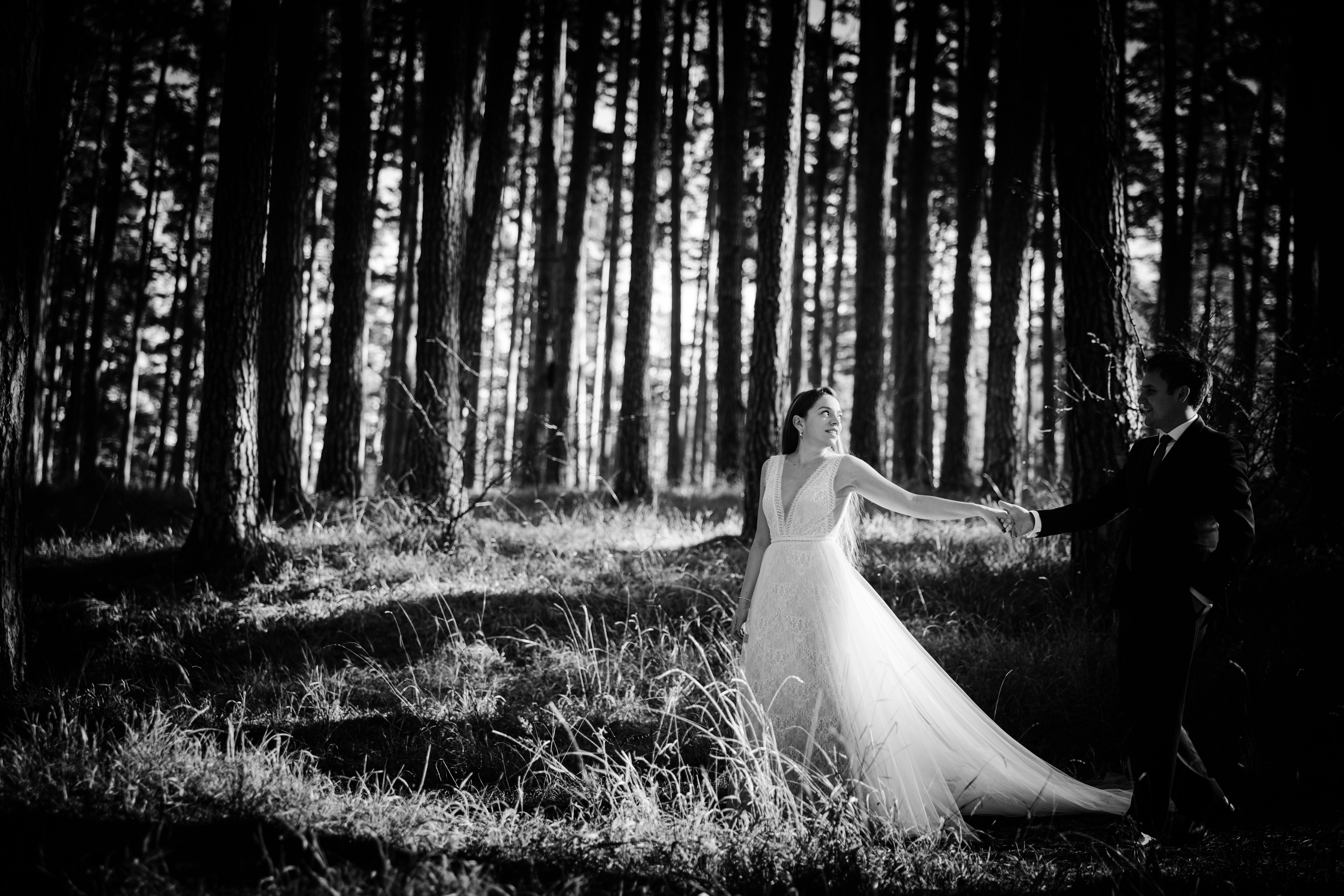 Elegant Black and White Forest Wedding Photo · Free Stock Photo