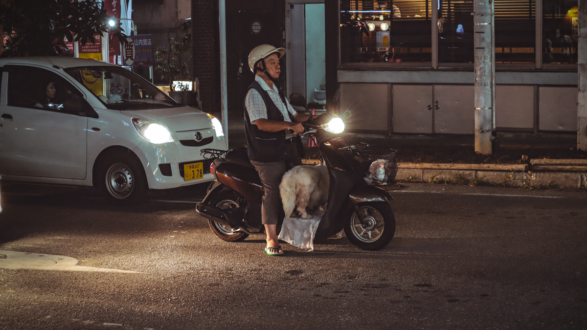 A scooter rider with a dog in Naha, Okinawa at night, showcasing urban street life.