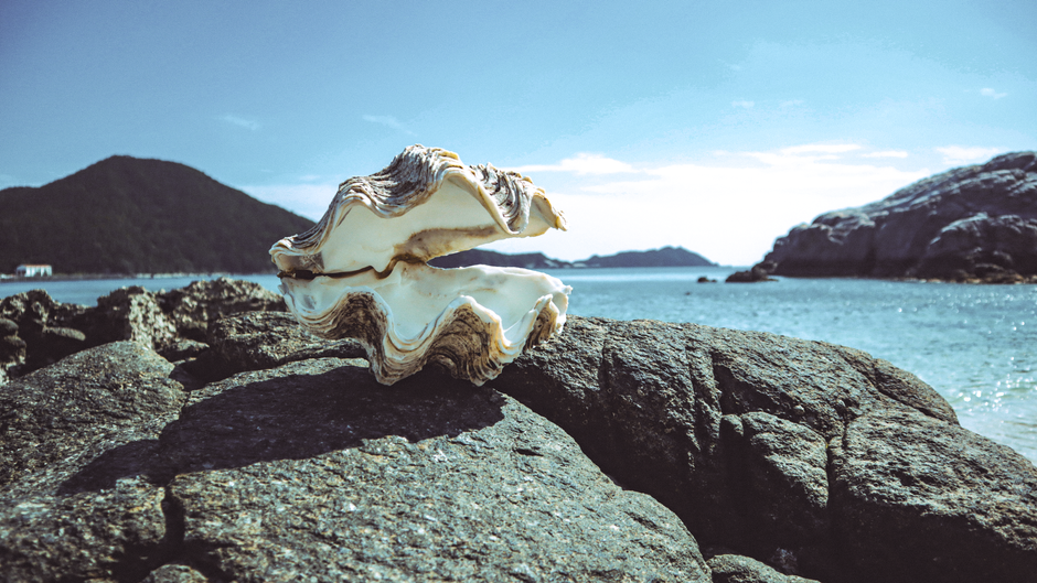Discover the beauty of Tokashiki Island's serene beach with a giant seashell on rocky shores.