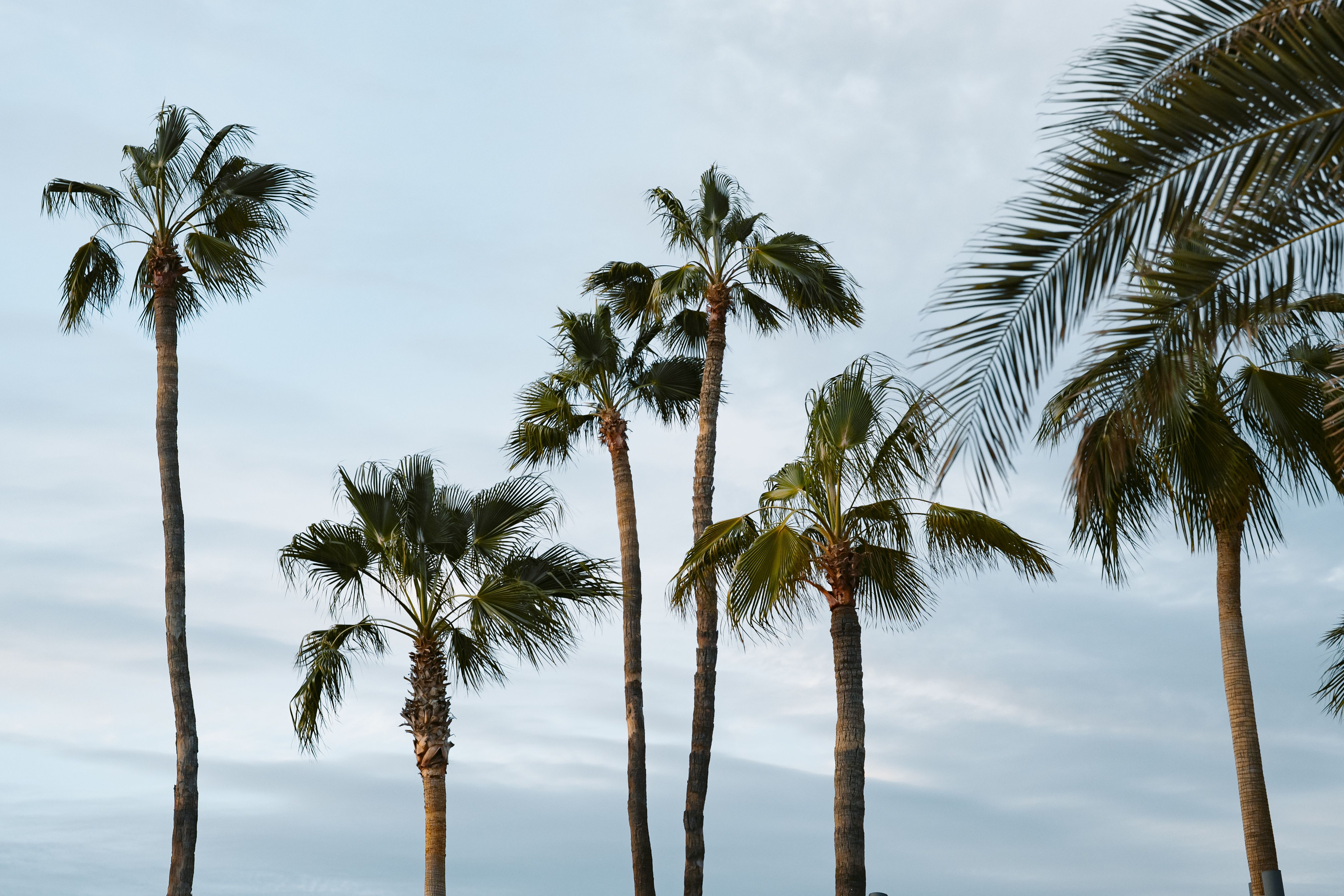 best neighborhoods to live in san diego — San Diego Lifestyle Guide 3