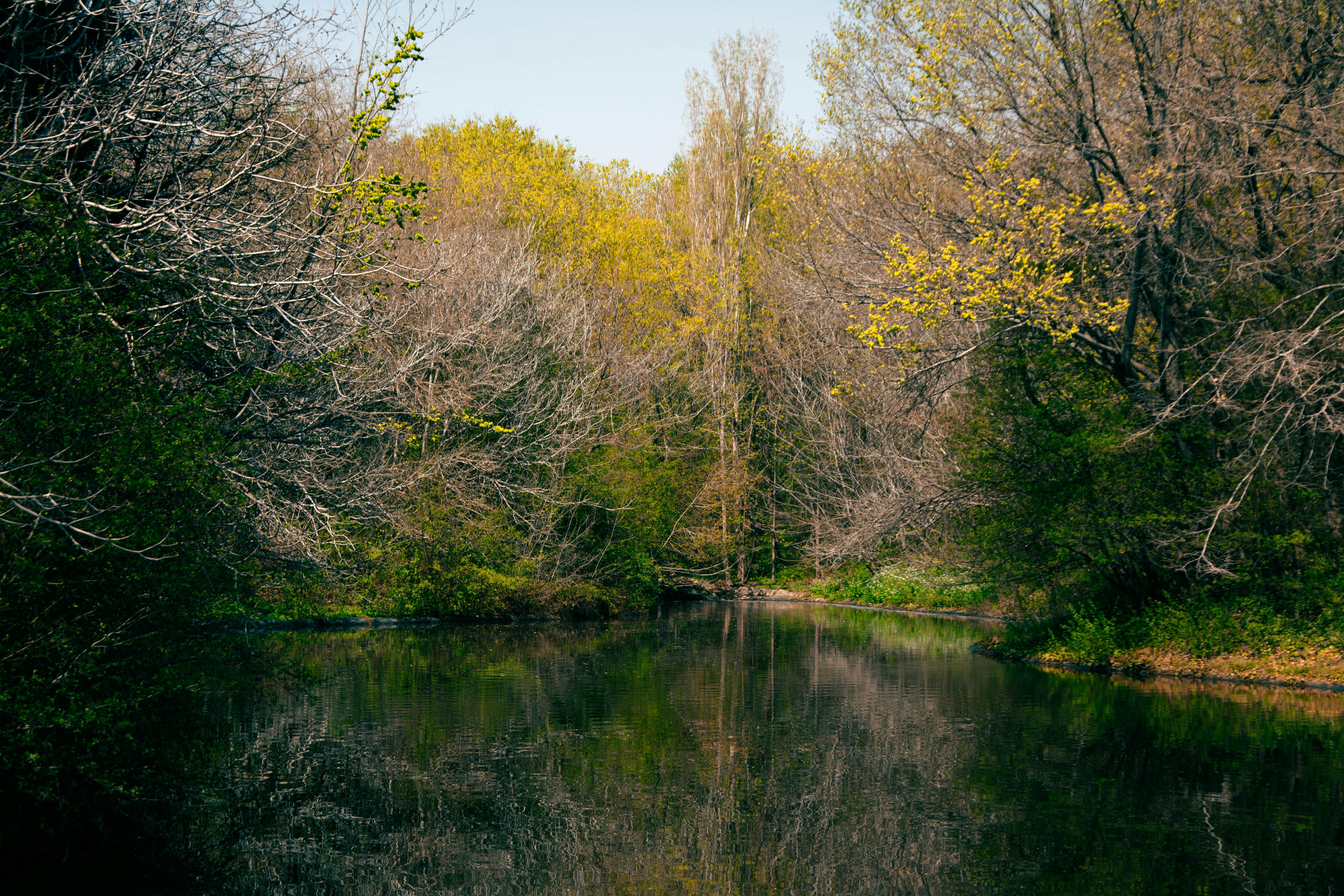 DuPage Forest Preserve executive director leaving for city manager job in Florida — Photo by Mehdi Salehi on Pexels