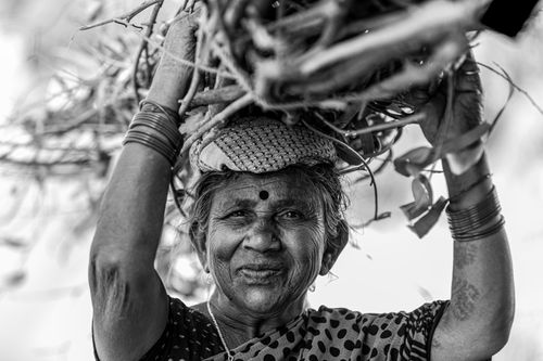 Free A black and white portrait of a senior woman carrying firewood, showcasing traditional attire and cultural beauty. Stock Photo