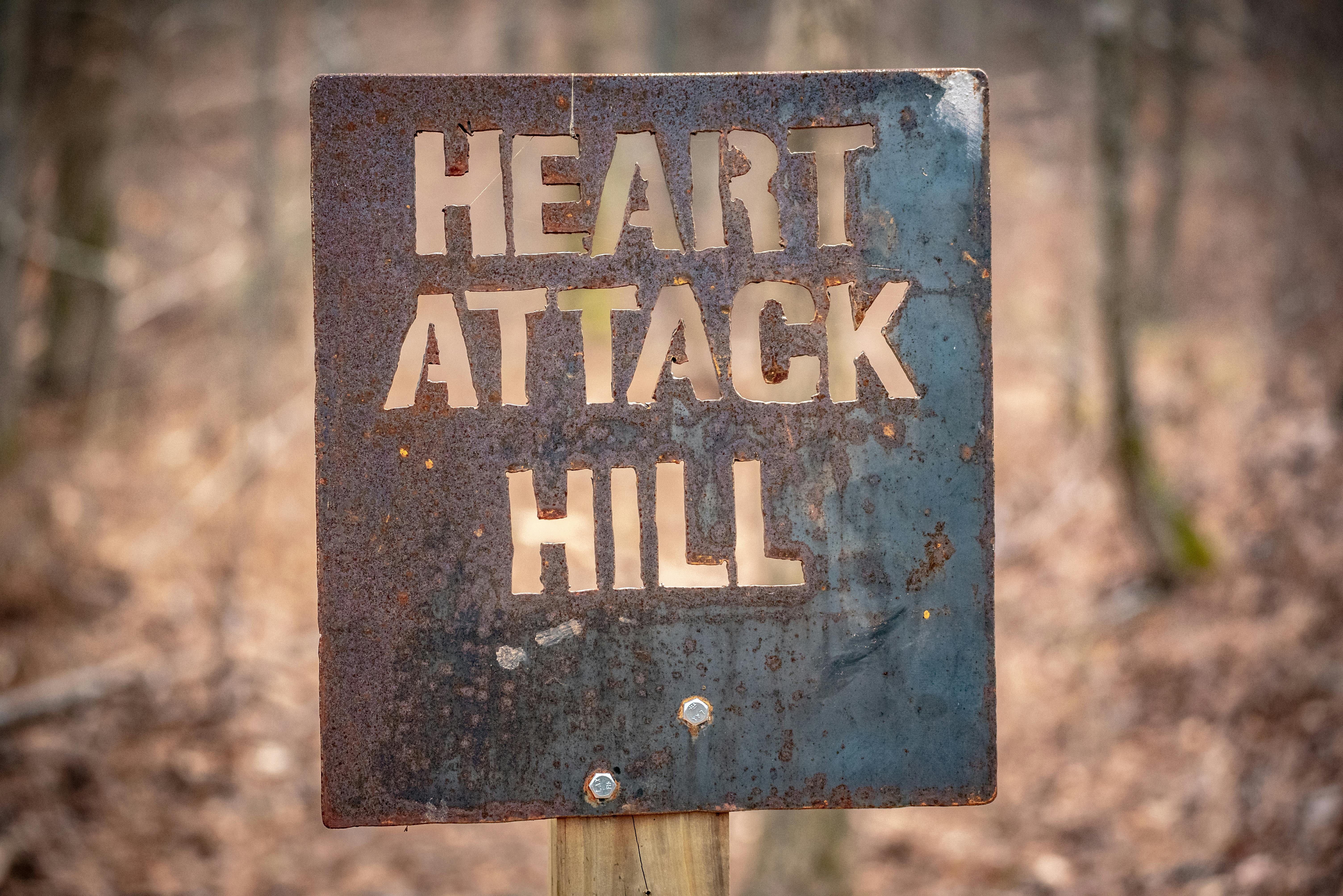 How Higgsfield AI Became 'Shitsfield AI': A Cautionary Tale of Overzealous Growth Hacking — Photo by Dominik Gryzbon on Pexel
