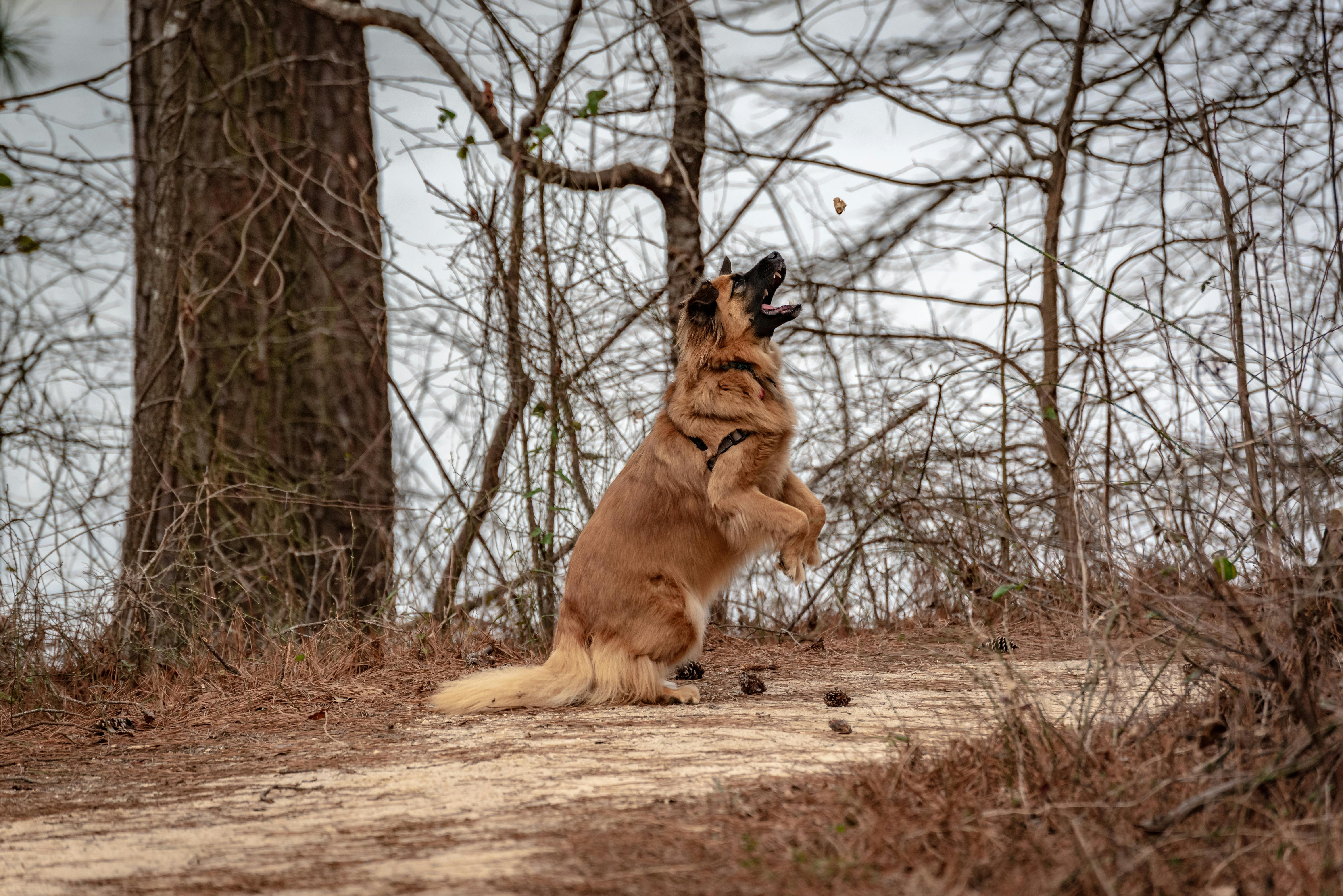 Digital Currenceny - Will Catch On In The United States