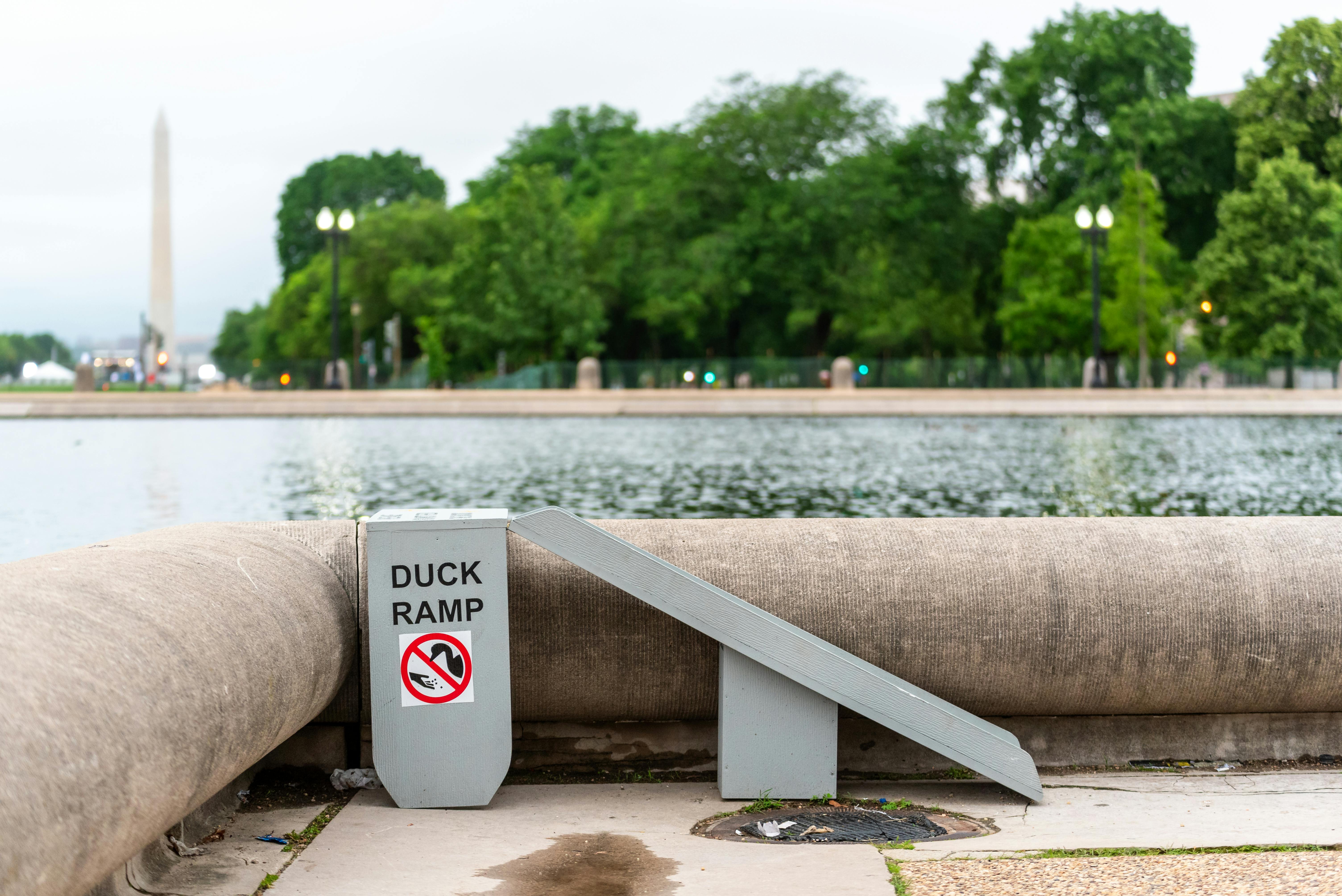 What Are The Best Tokens For Governance And Voting? What Are The Best Tokens For Governance And Voting?