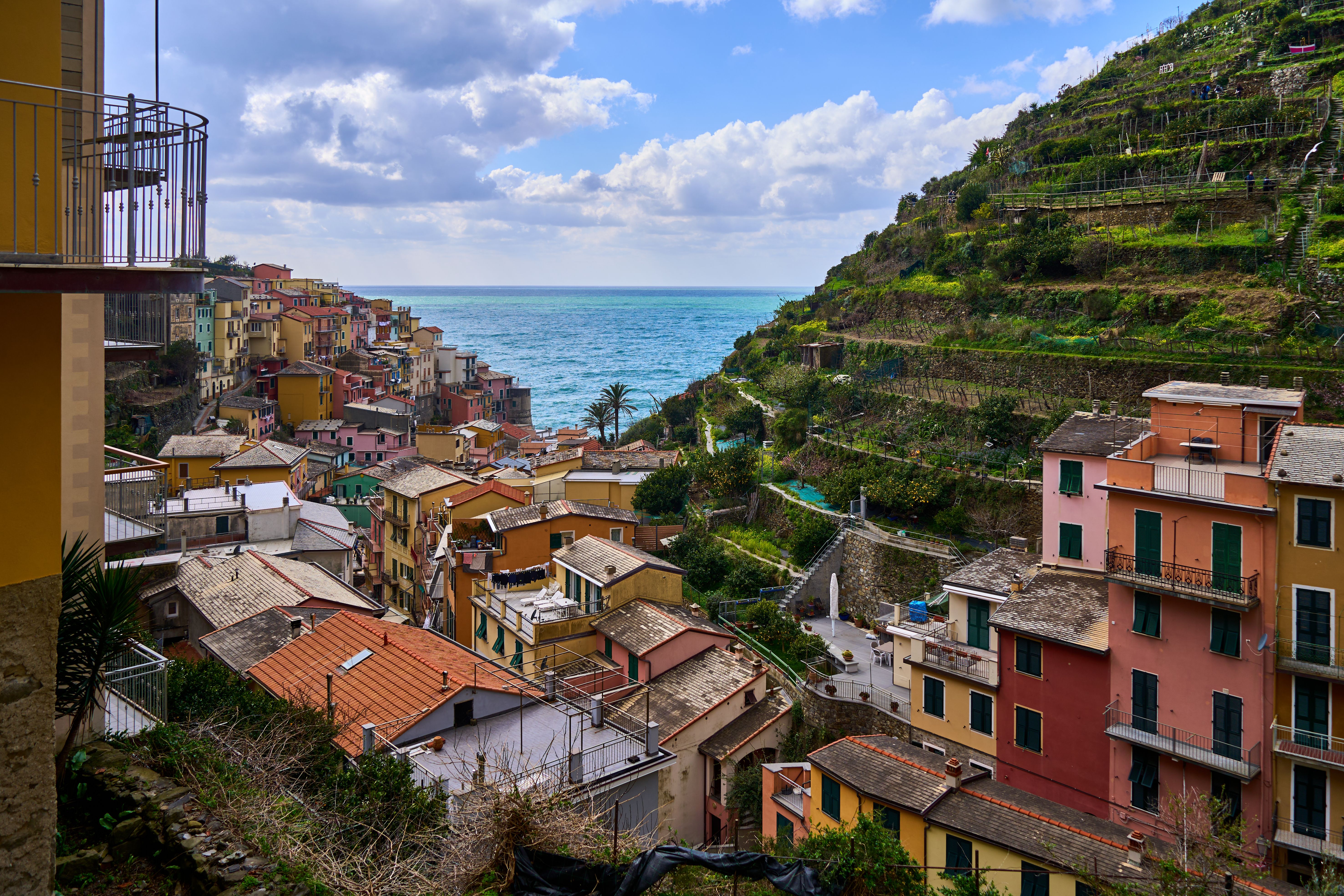 Colorful Rooftops of Cinque Terre Overlooking the Sea · Free Stock Photo
