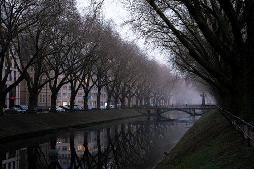 Free A serene misty view of a canal lined with leafless trees in an urban setting at twilight. Stock Photo