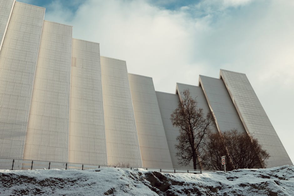 Imagen profesional de 'revolución energía renovable viene 2025 2025 solar renovables según energía almacenamiento energético redes año transición energética global políticas renovable mundial' por Efrem Efre